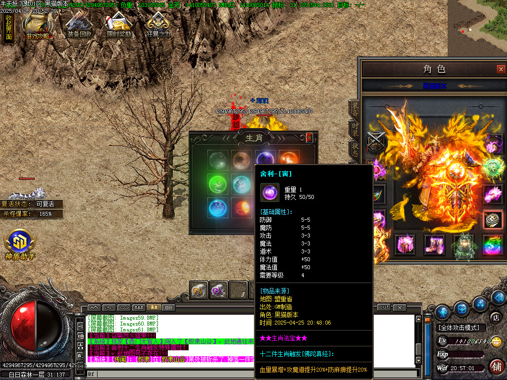 Images62.BMP