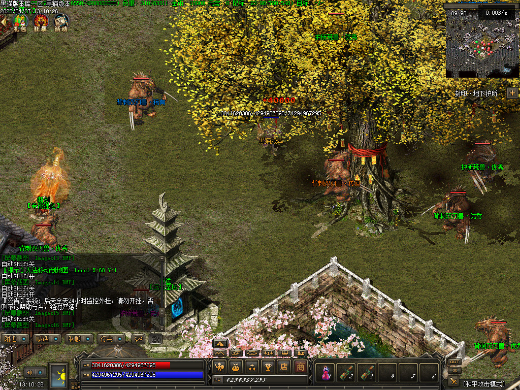 Images17.BMP