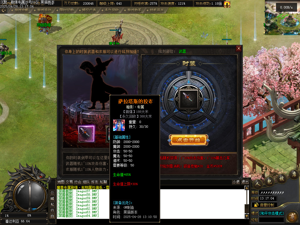 Images65.BMP