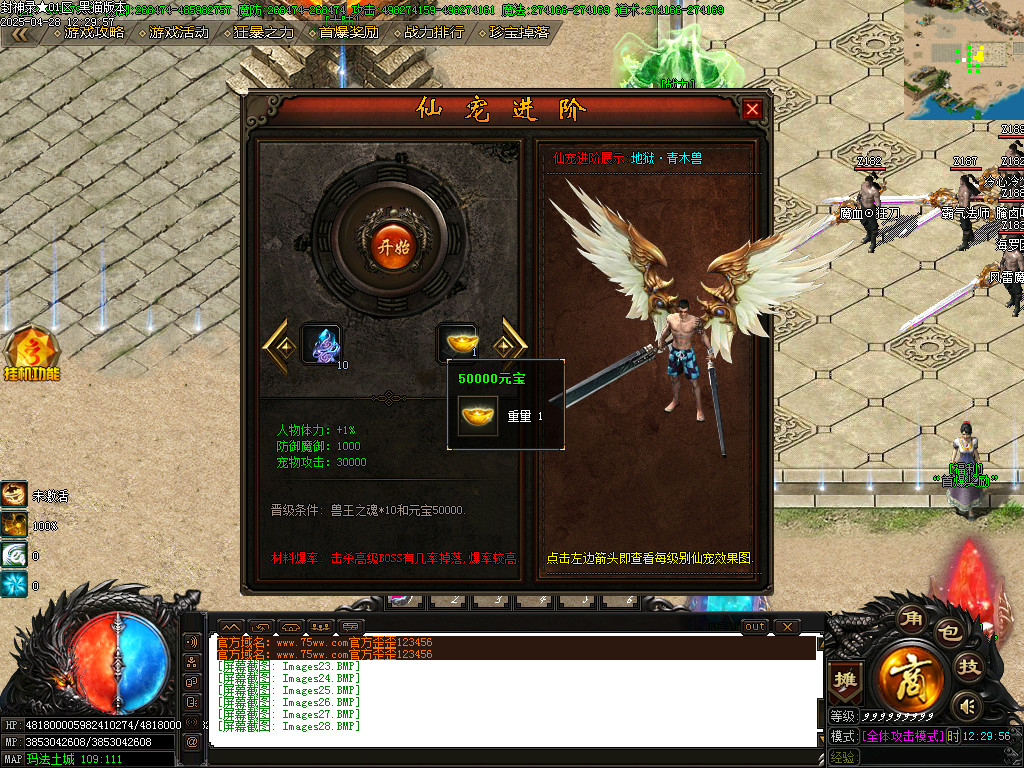 Images29.BMP
