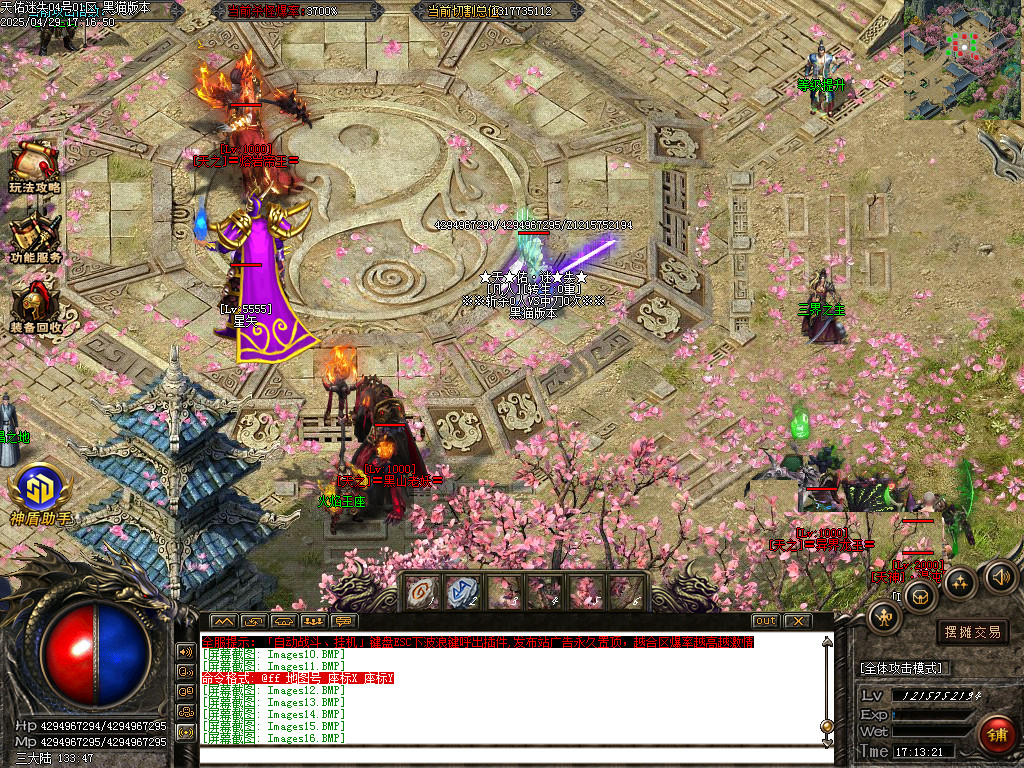 Images17.BMP
