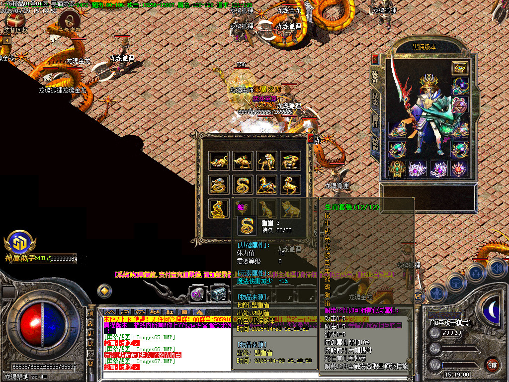 Images68.BMP