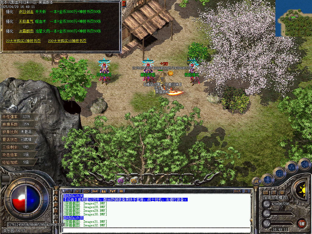 Images33.BMP