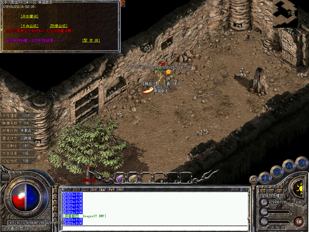 Images38.BMP