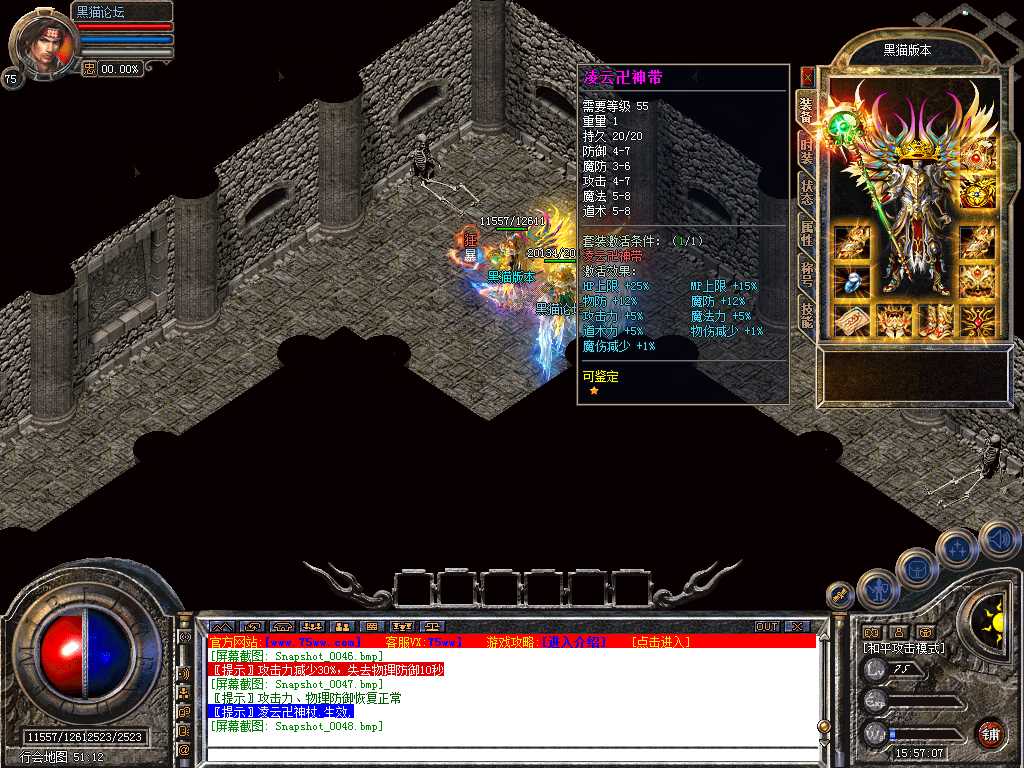 Snapshot_0049.bmp