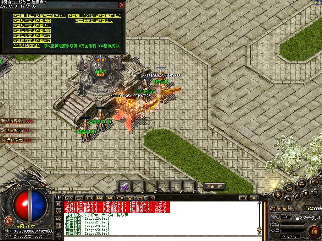 Images31.bmp
