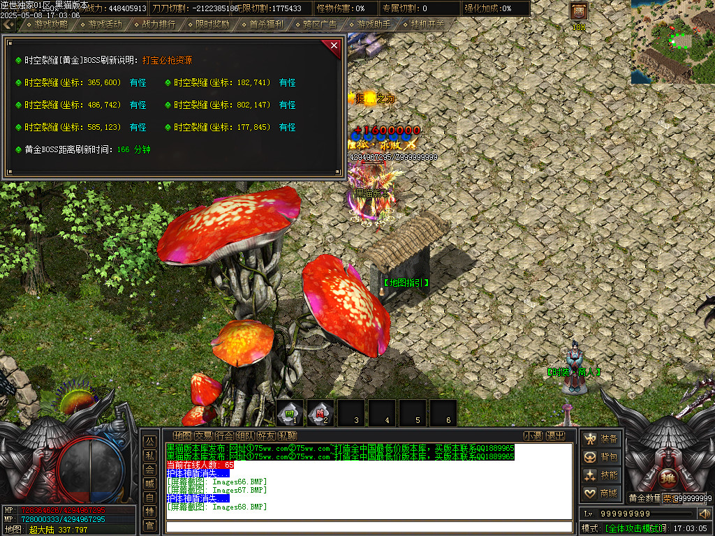 Images69.BMP
