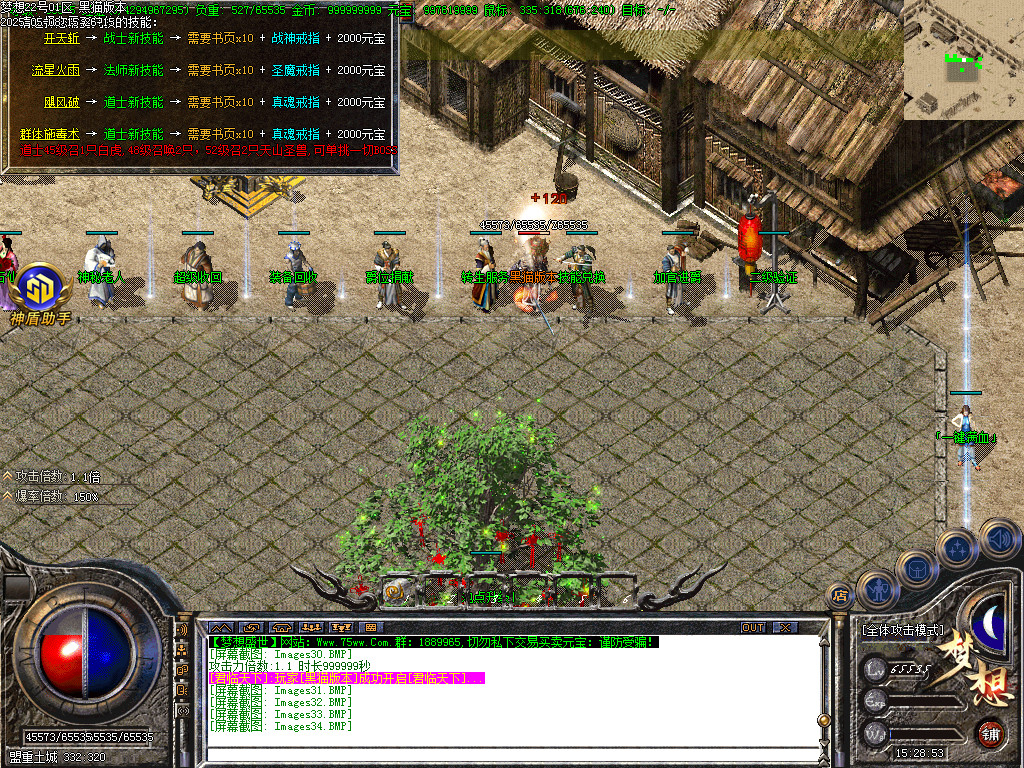 Images35.BMP