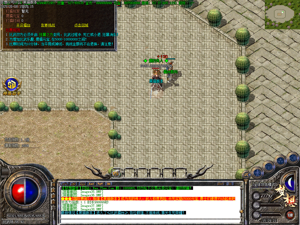 Images39.BMP