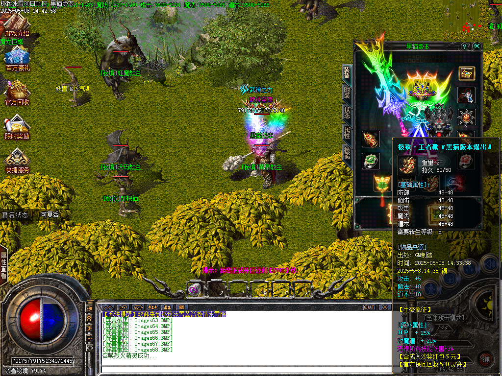 Images69.BMP
