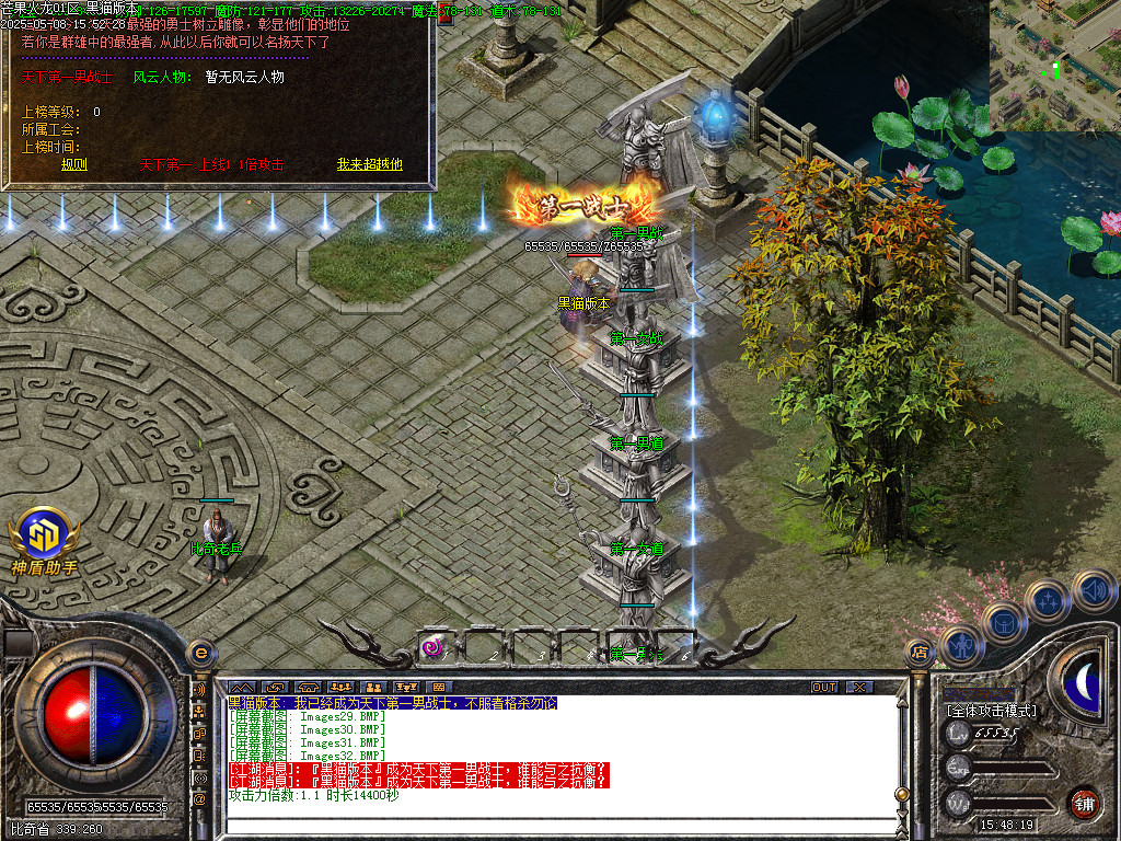 Images33.BMP