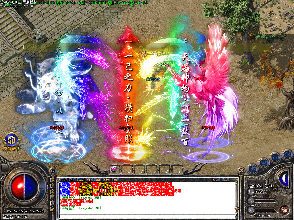 Images63.BMP