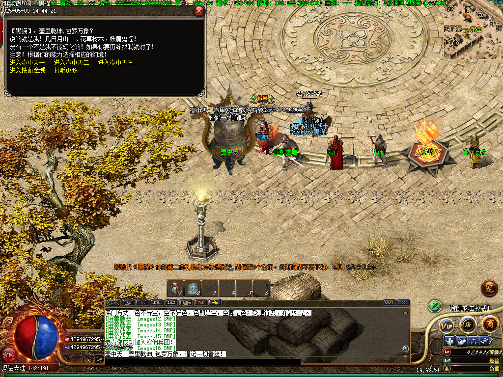 Images17.BMP