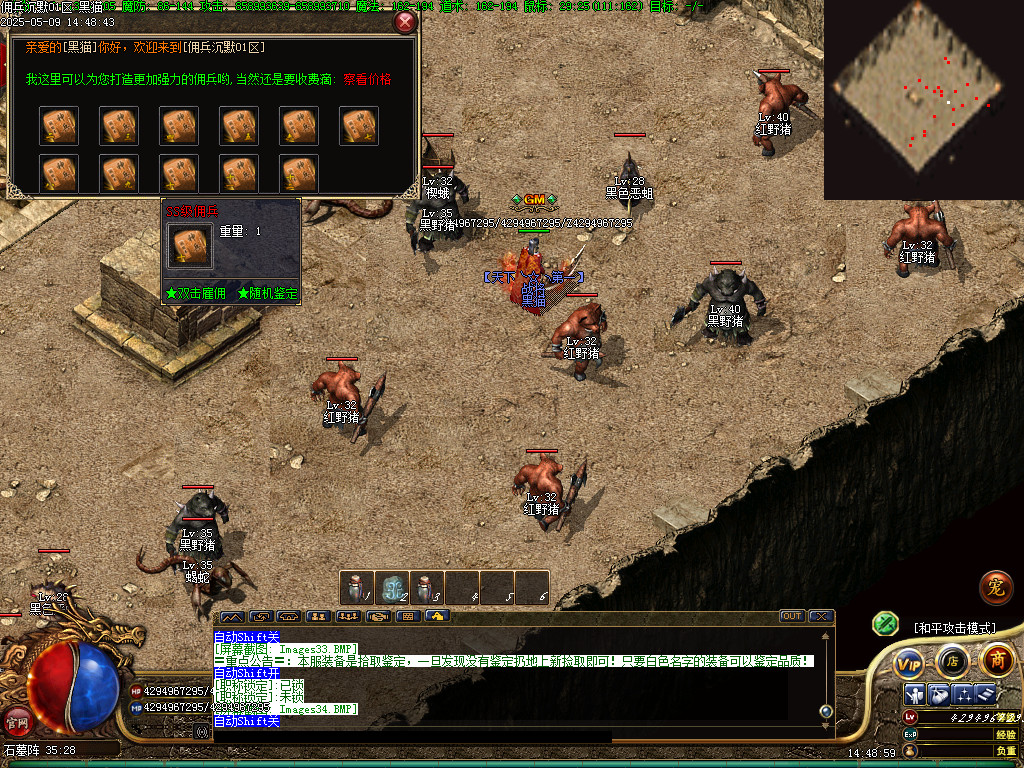 Images35.BMP