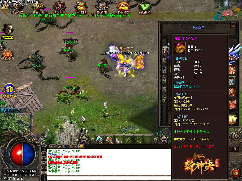 Images65.BMP