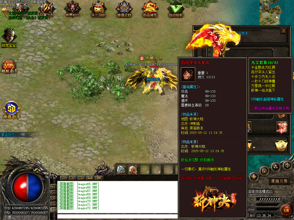 Images73.BMP