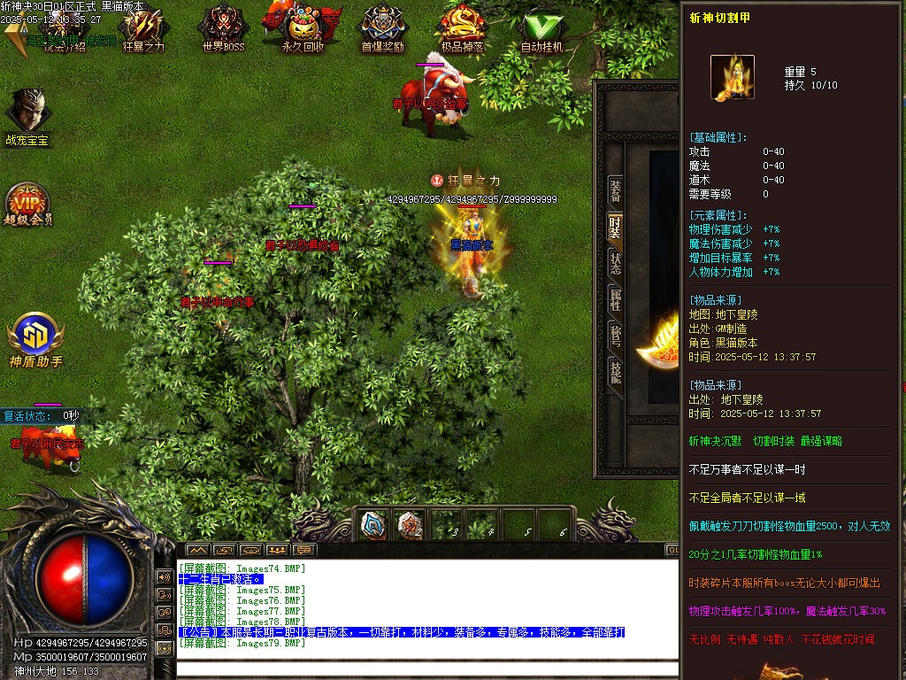 Images80.BMP