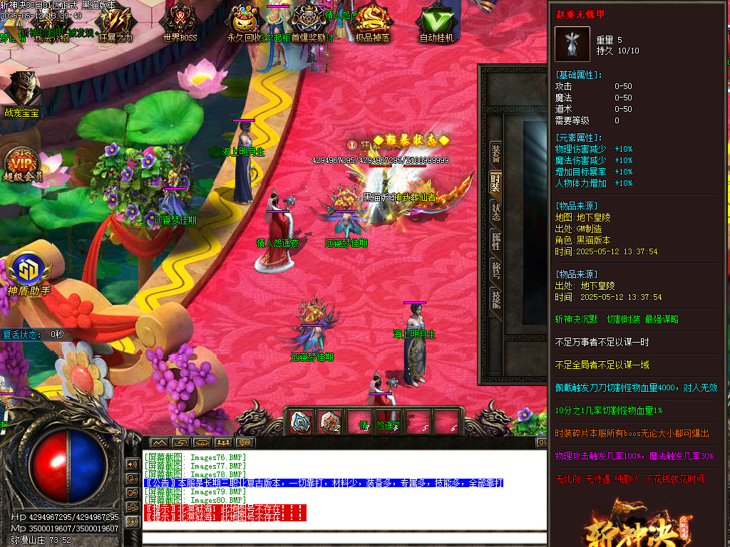 Images81.BMP