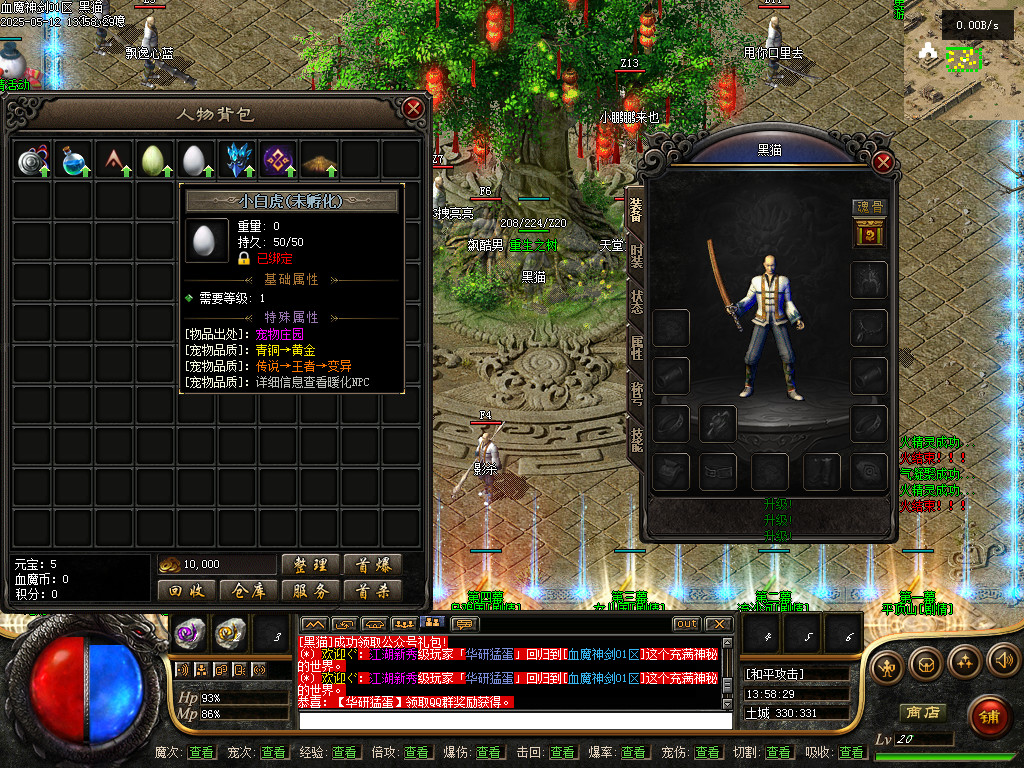 Images03.BMP