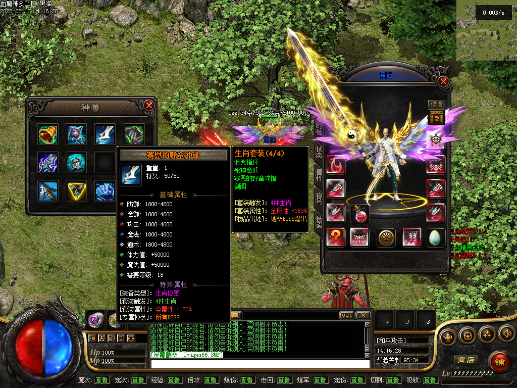 Images67.BMP