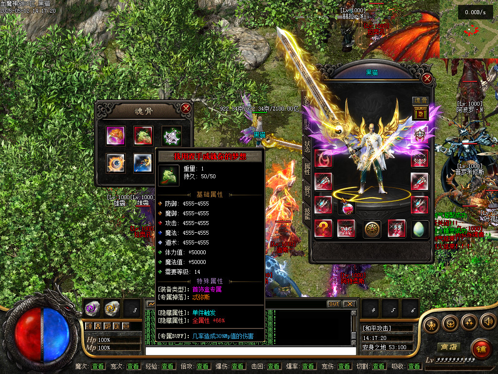 Images68.BMP