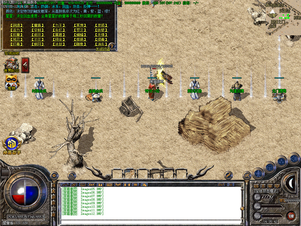 Images13.BMP