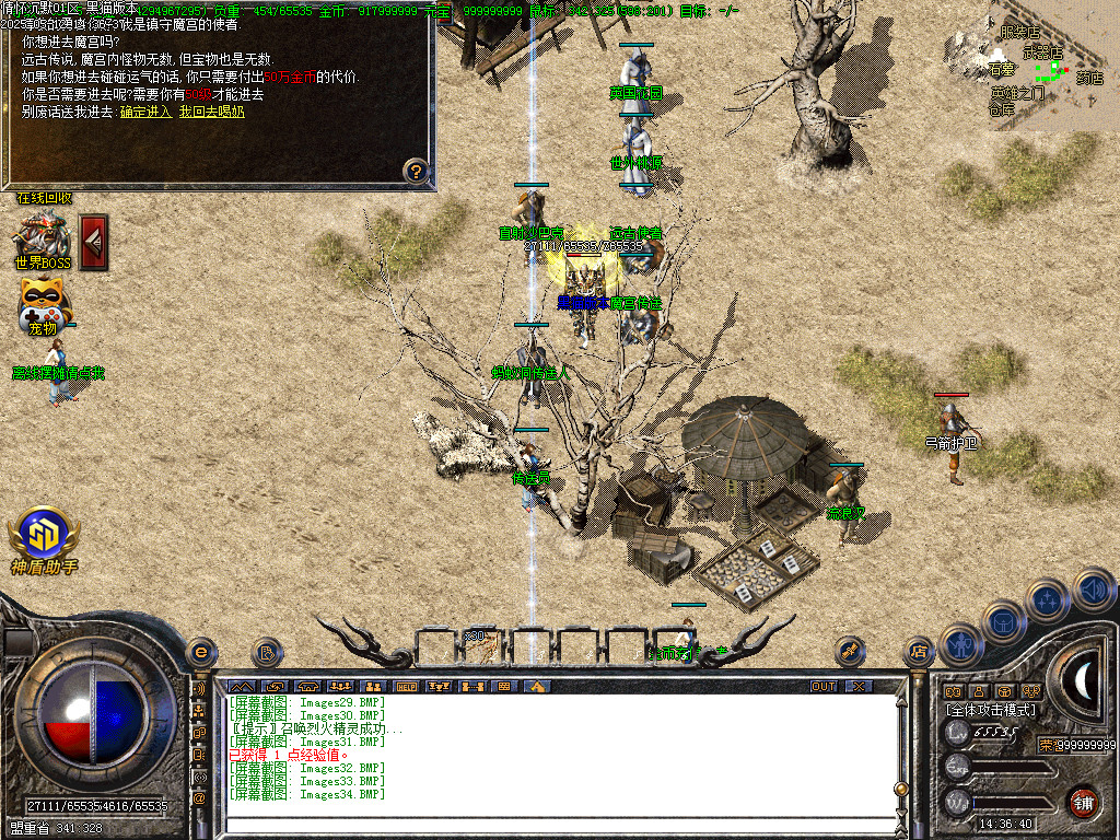 Images35.BMP