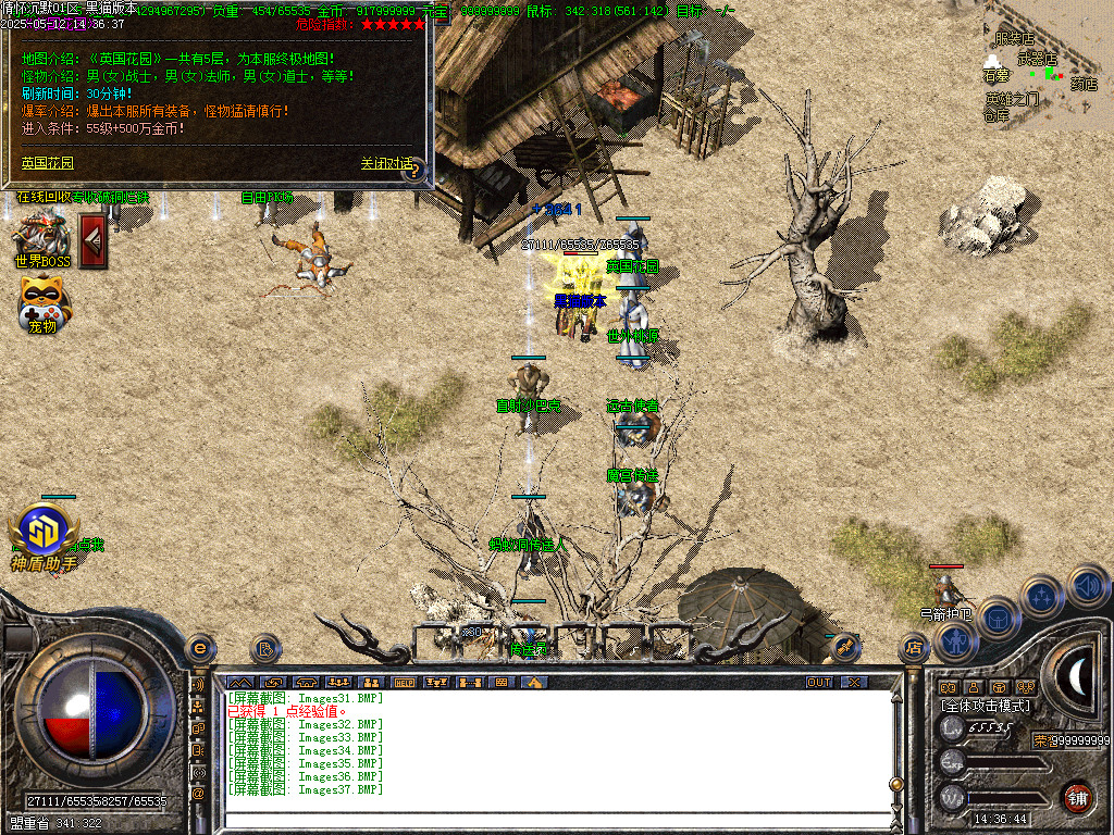 Images38.BMP