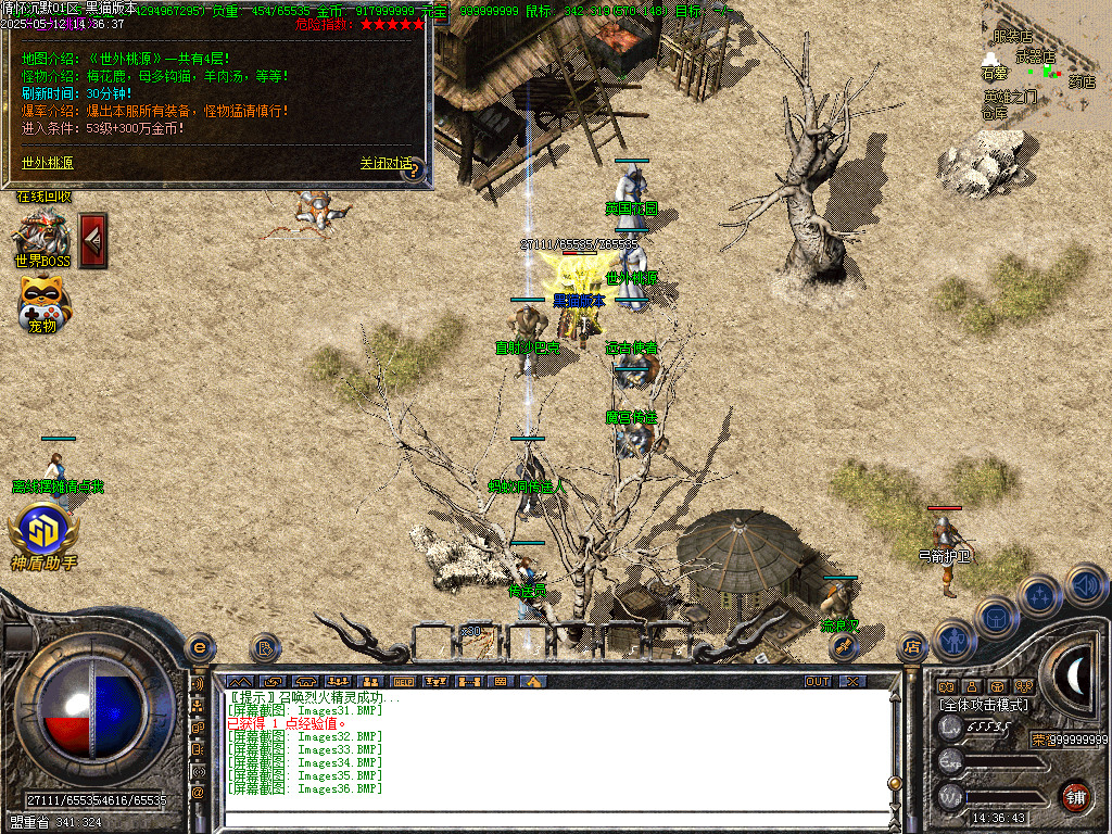 Images37.BMP