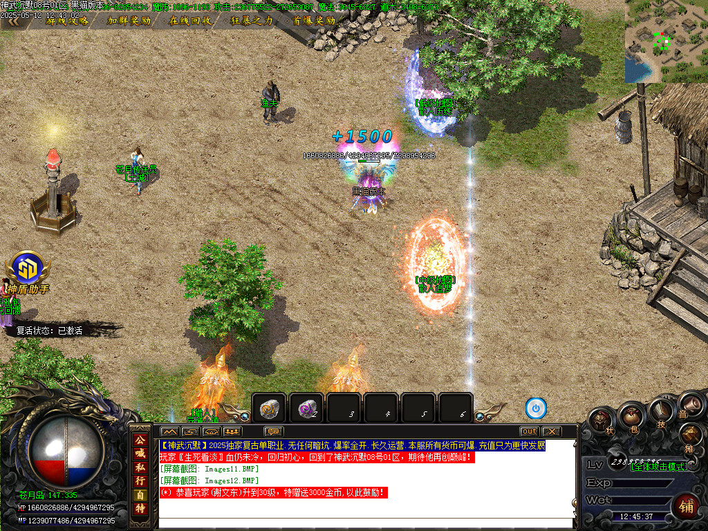Images13.BMP