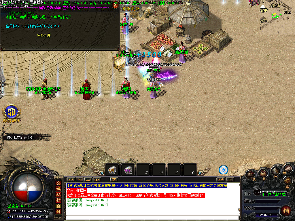 Images19.BMP