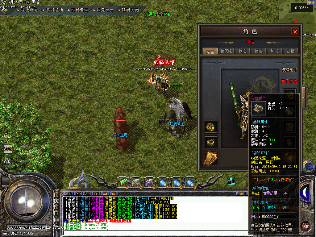 Images39.BMP