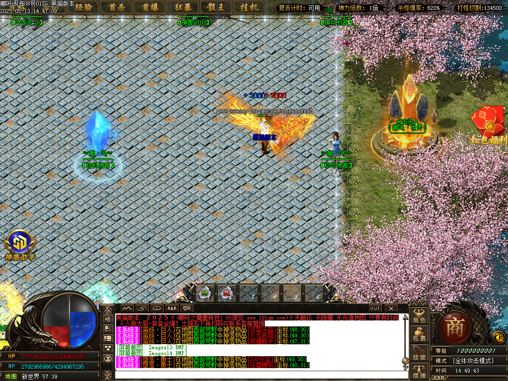 Images15.BMP