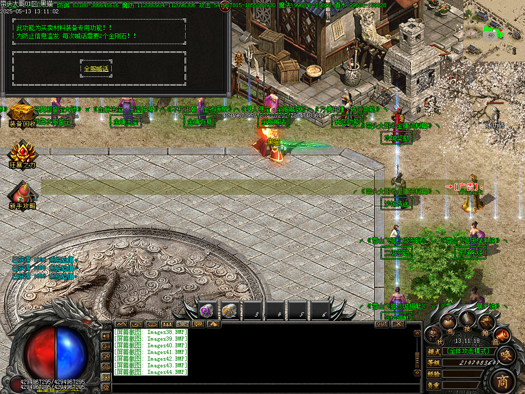 Images45.BMP