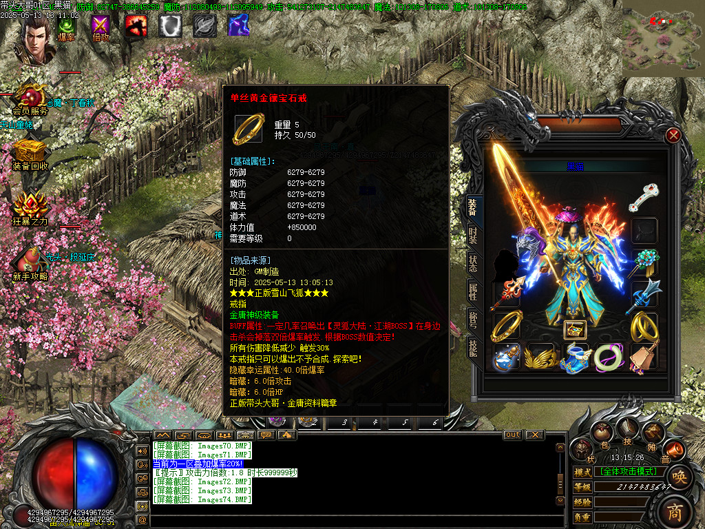 Images75.BMP