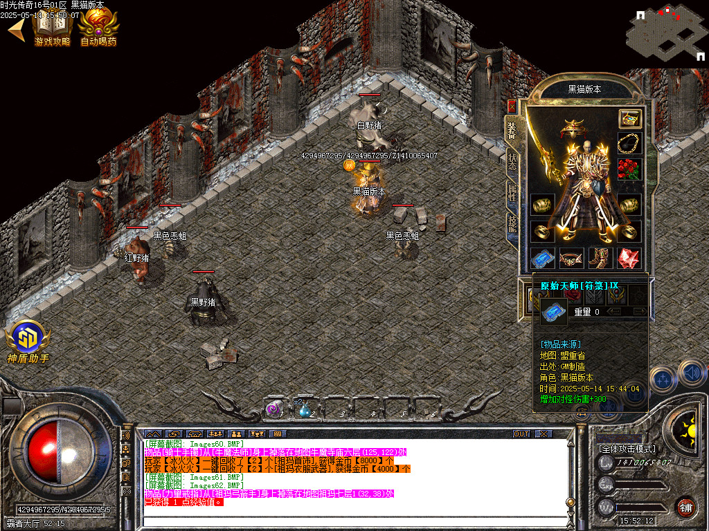 Images63.BMP