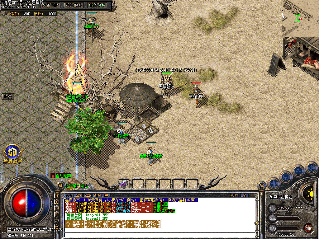 Images13.BMP