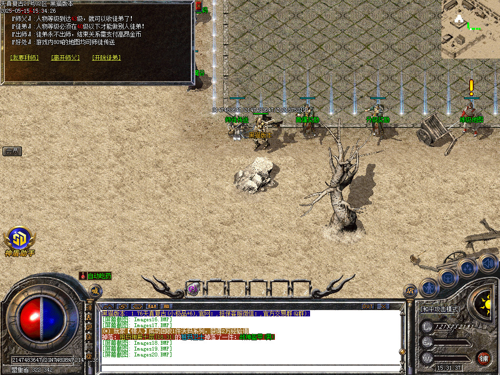 Images21.BMP