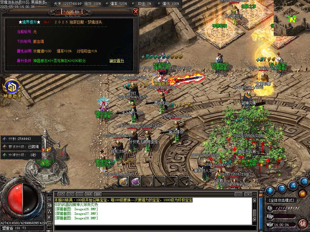 Images29.BMP