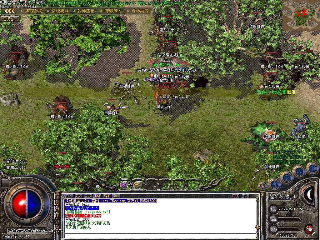 Images66.BMP