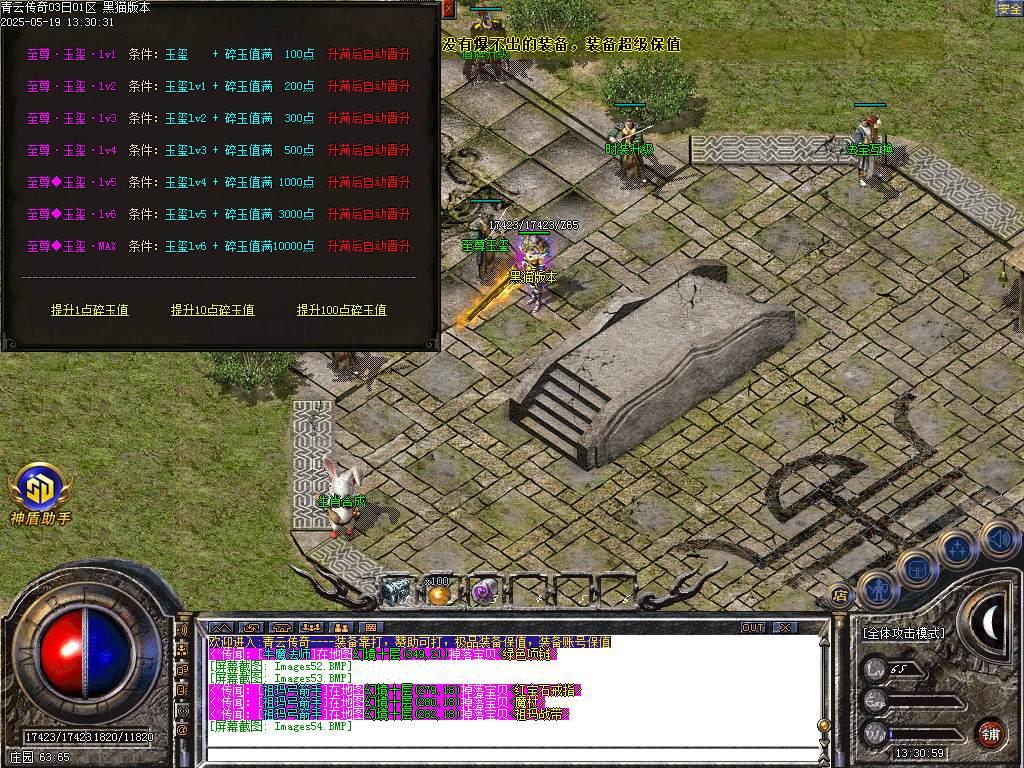 Images55.BMP