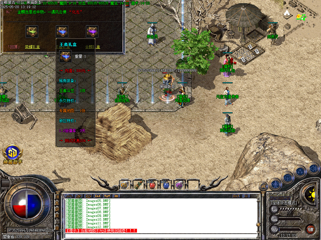 Images13.BMP