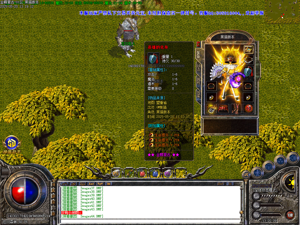 Images45.BMP