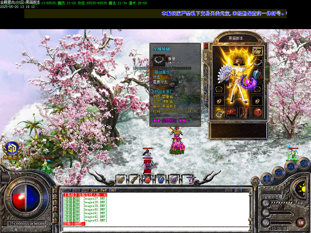 Images44.BMP