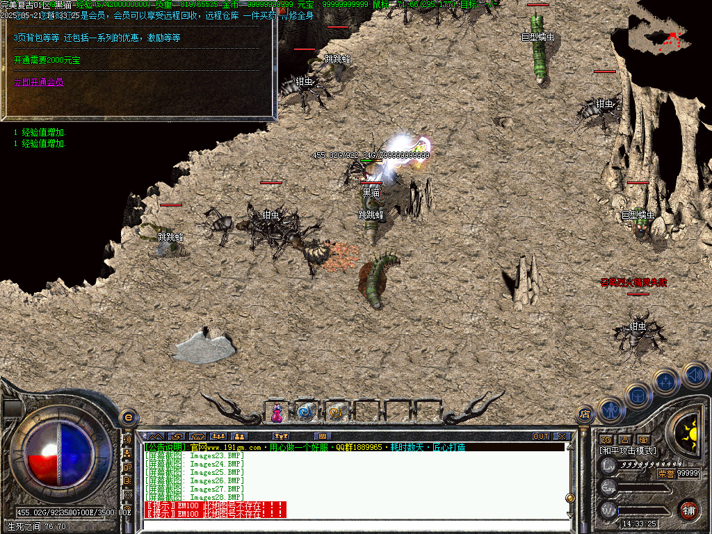 Images29.BMP