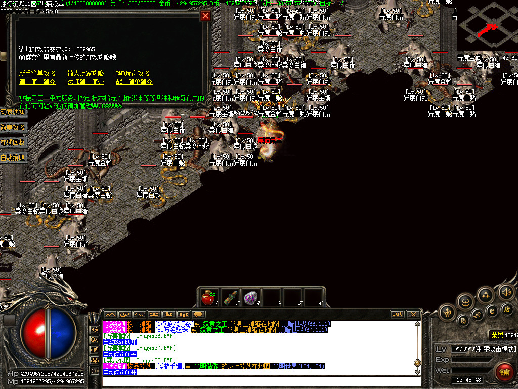 Images39.BMP