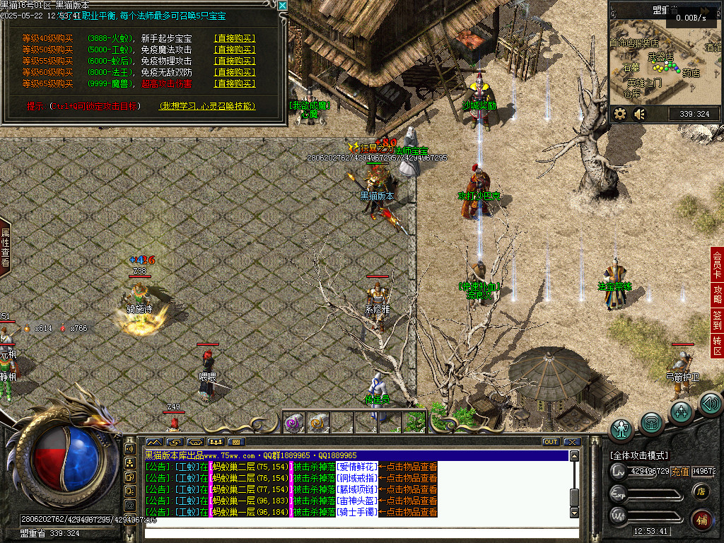 Images31.BMP