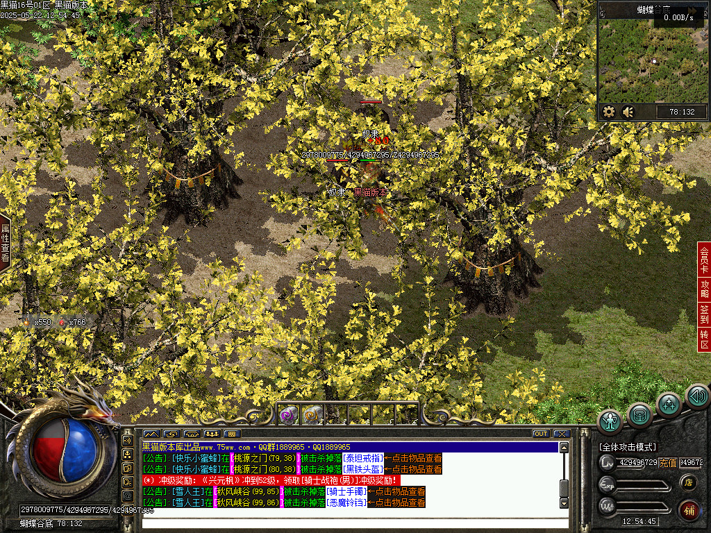 Images41.BMP