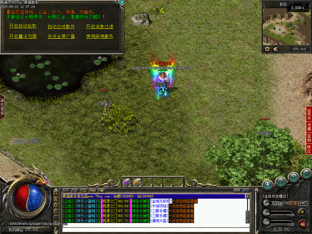 Images66.BMP