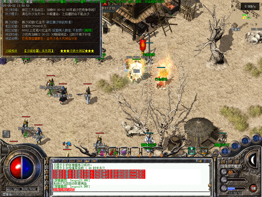 Images25.BMP